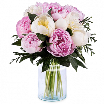 Gracia Asombrosa: Peonías Rosas y Blancas