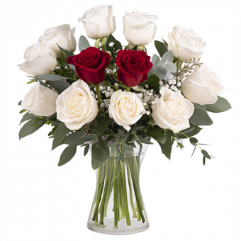 Cœurs et Diamants : Roses Rouges et Blanches