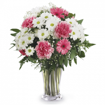 Algodón de Azúcar: Gerberas y Claveles