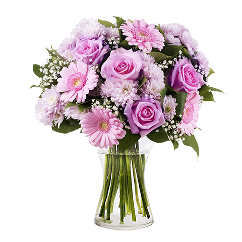 Aufrichtiges Lacheln Pinke Rosen Und Gerbera Floraqueen