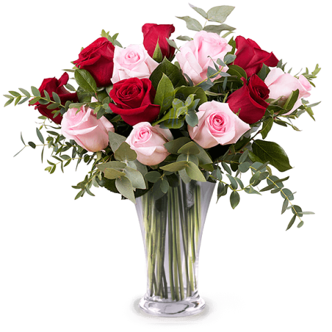 Love Actually: Rose Rosa e Rosse