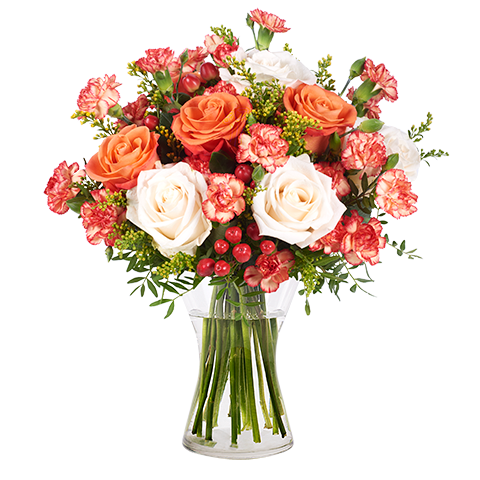 Rosenblüte : Rosen und Nelken