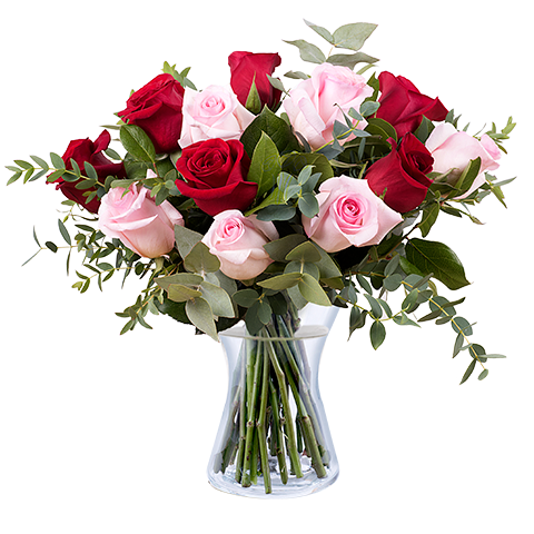 Love Actually: Red and Pink Roses