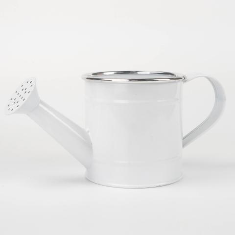 Regadera 5e20844516407858260413.jpg