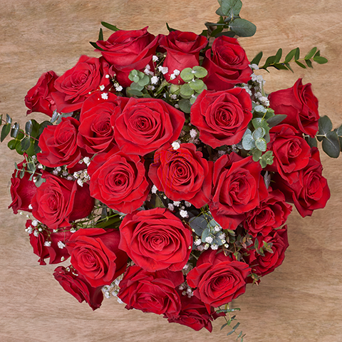 24 Red Roses Home Delivery| Buy Roses Online - FloraQueen