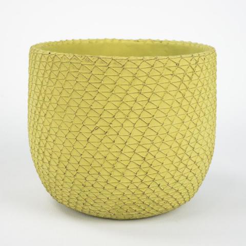 Maceta Haiti 5e70ae3e32491937205522.jpg