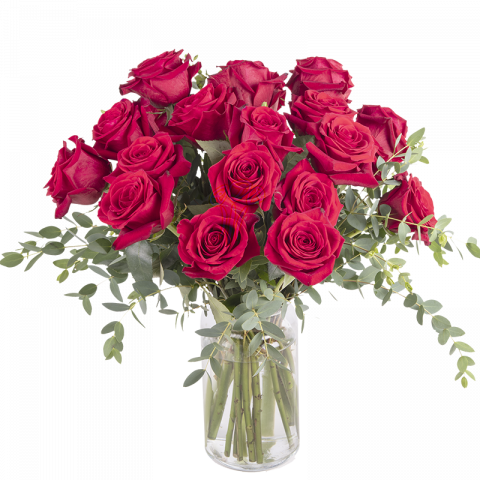 Schicken Sie Rote Rosen Nachhause Florachic Floraqueen