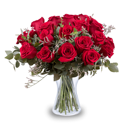 Lavish Love: 24 Red Roses