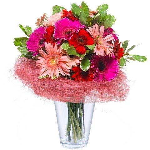 Paraíso: Gerberas rojas y rosas