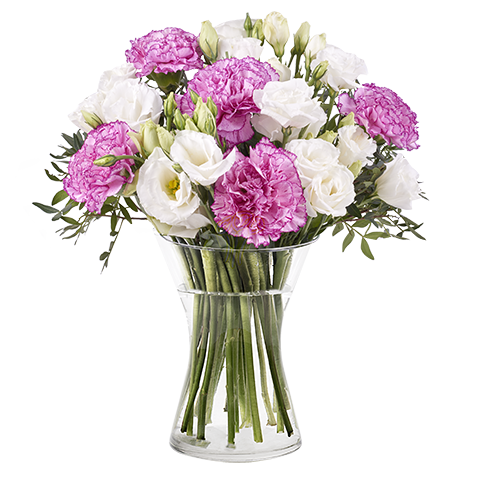 Bahamas: Lisianthus y Claveles