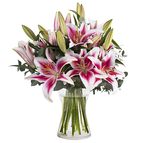 Envoyer un Bouquet de Lys Stargazer Roses - FloraQueen