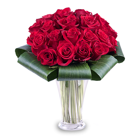 Dipendenza d'Amore: 25 Rose Rosse