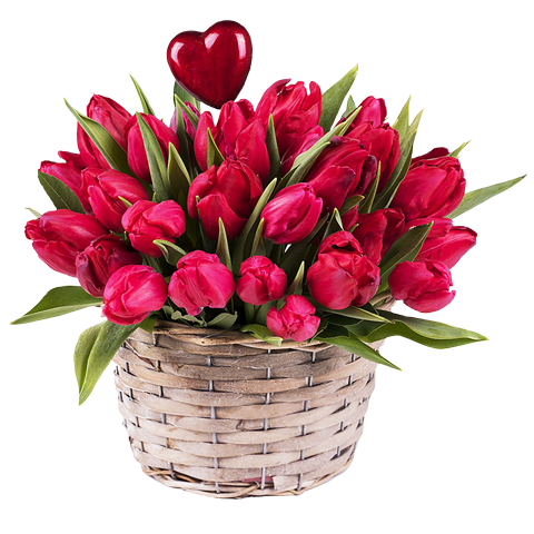 Bacio di Primavera: Tulipani Rossi
