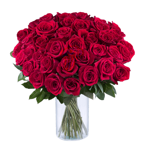 Mazzo di 40 Rose Rosse a Domicilio - FloraQueen