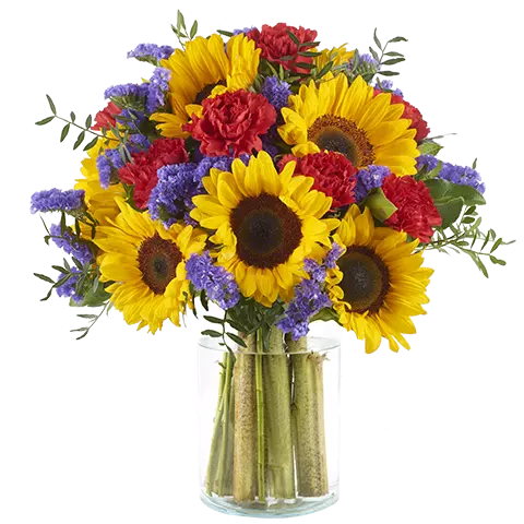 Breath Of Colour: Sunflowers and Carnations