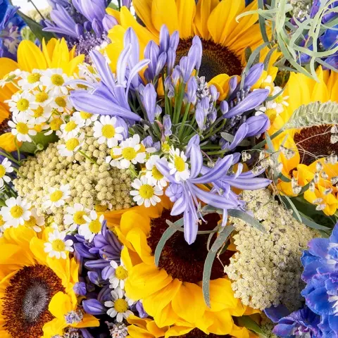 Sommerliche Inspiration: Rittersporne und Sonnenblumen