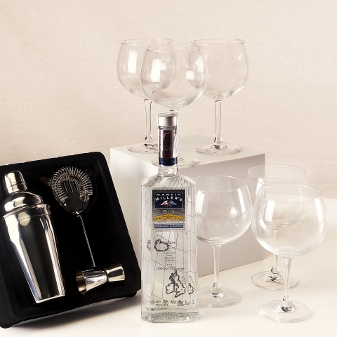 Gin Master: Premium Gin, Cocktail Set and Glasses