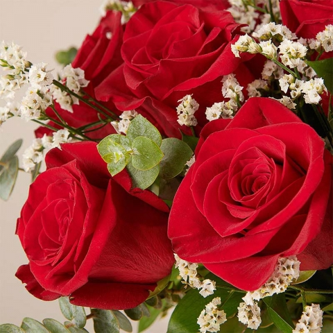 Amor clássico: Rosas vermelhas