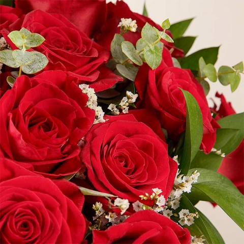 Warm Embrace: Red Roses