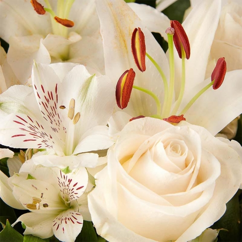 White Touch: Lilies and Roses