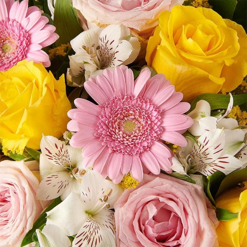Vibrant Energy: Yellow and Pink Roses