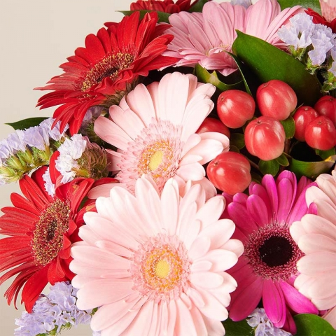 Colourful Cocktail: Pink and red gerberas