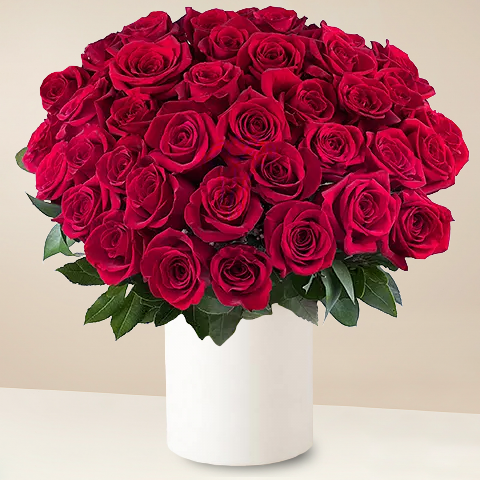 Beijo Francês: 40 Rosas Vermelhas