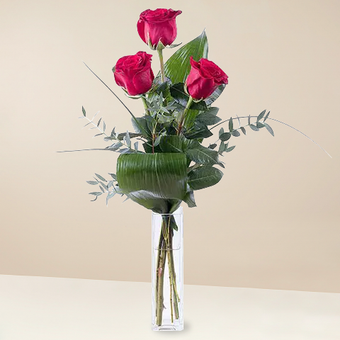 Romantisches Andenken: 3 rote Rosen
