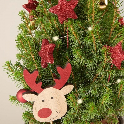 Little Wish: Mini Christmas Tree
