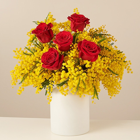 Passionate Mimosa: Red Roses and Mimosa