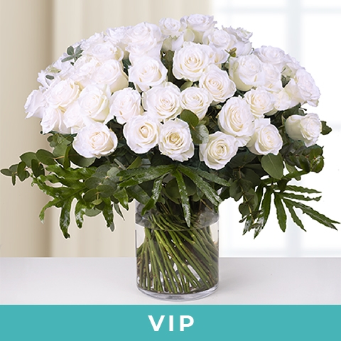 Classic Love : 50 Roses Blanches