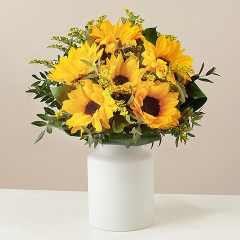 Yellow Song: Sonnenblumen und Schusterpalme