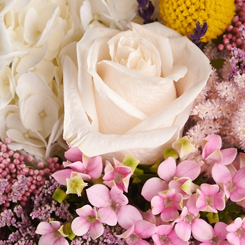  Evocative View: Weiße Hortensien und Rosen