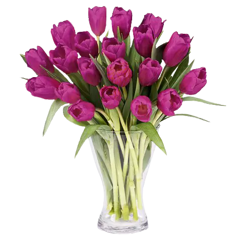 Fraîche Inspiration : 20 Tulipes Violettes