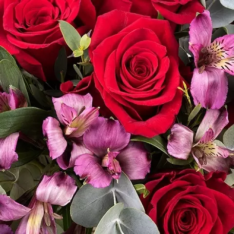 Charme et Romance : Roses et Alstromerias