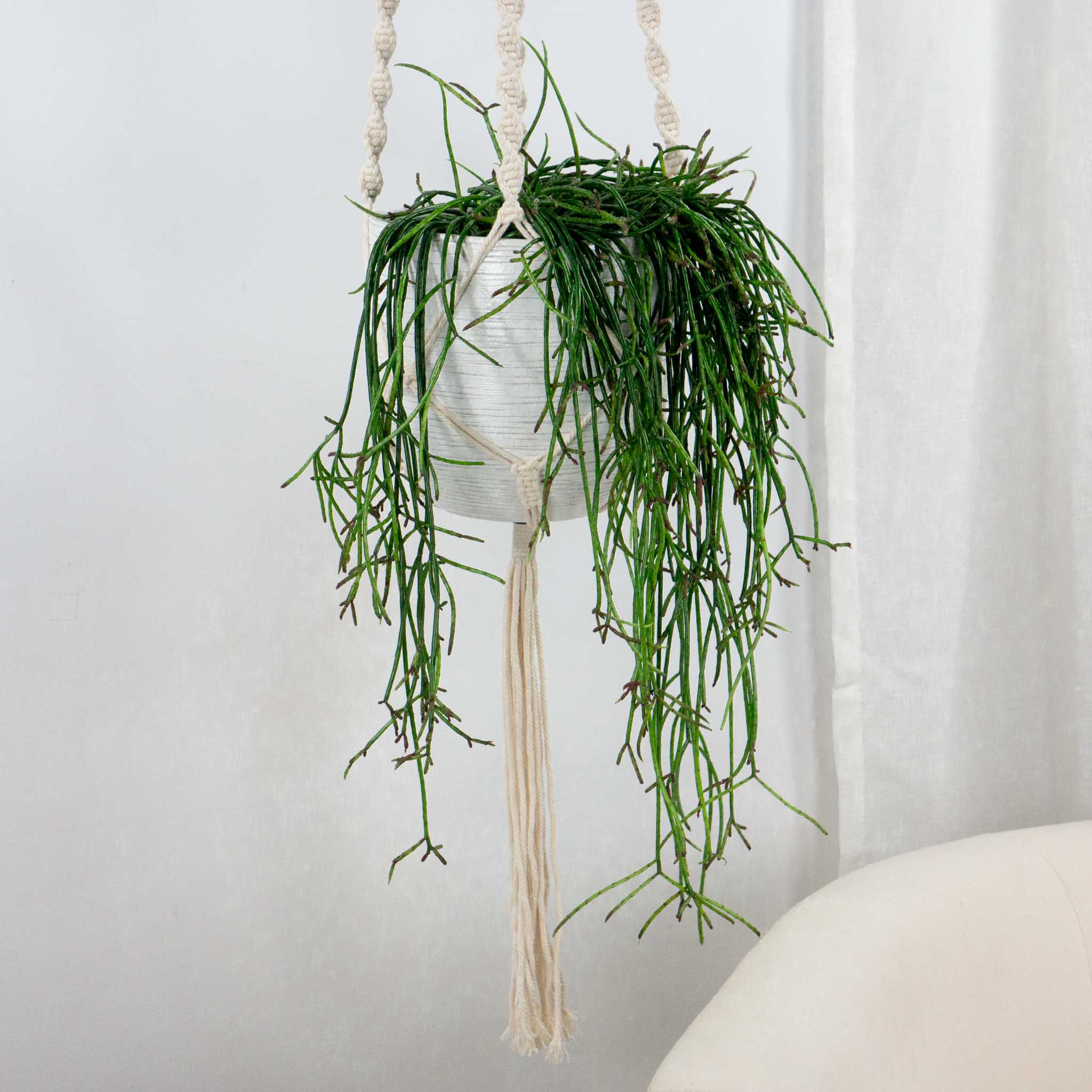 Be.Green Cacto Puni Enforcado one_size