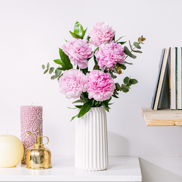 Peony Pop